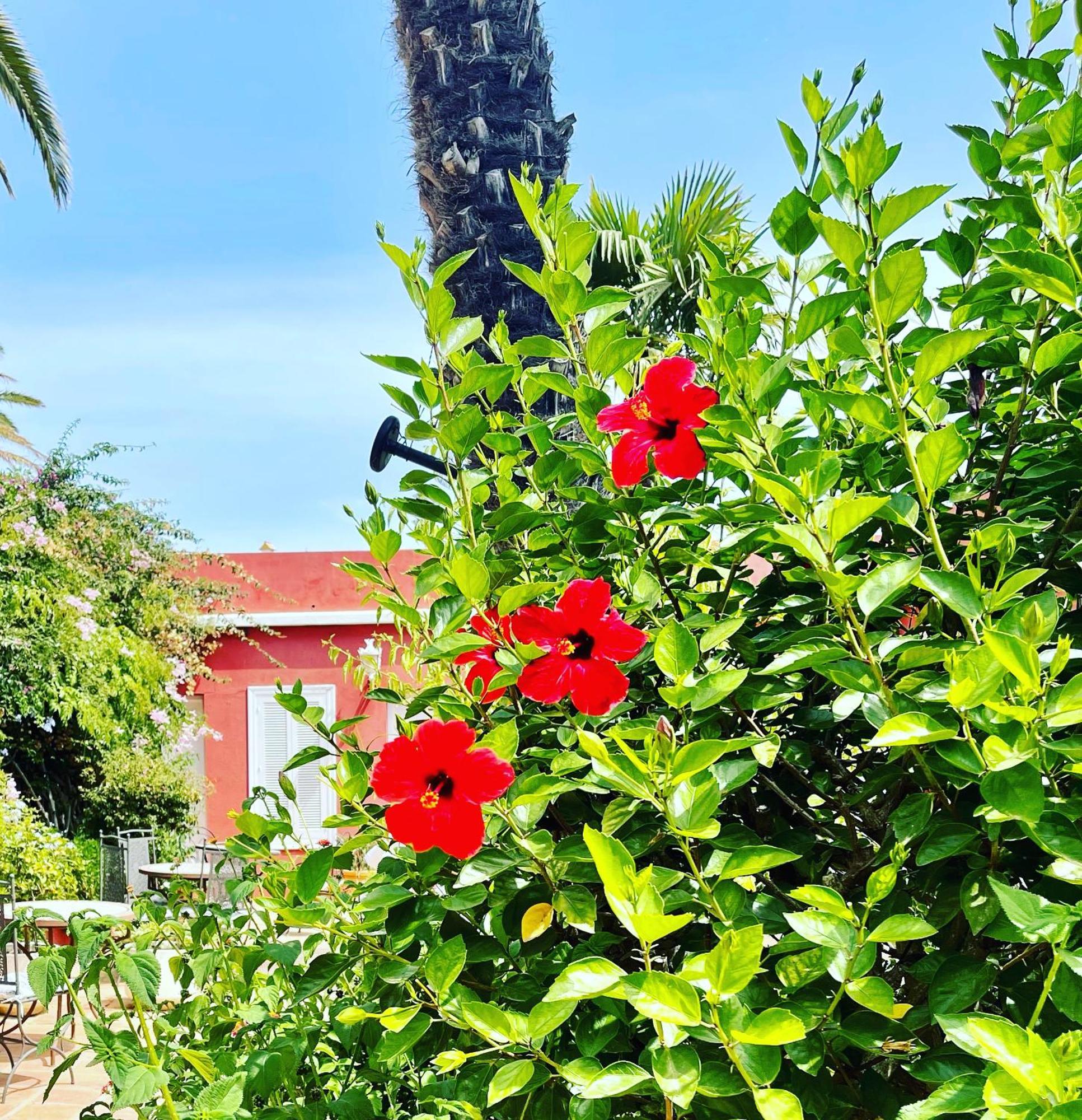 La Pena Hotel *